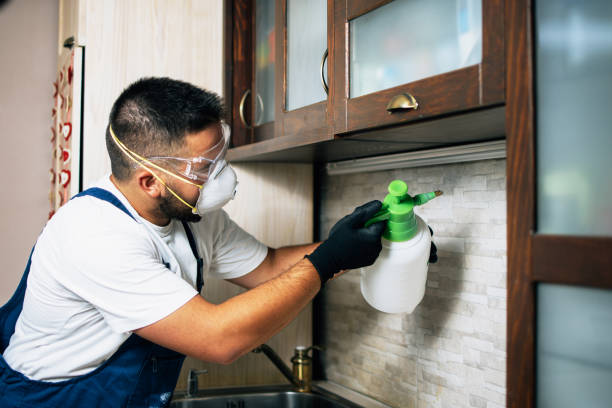 Flea Control Services in Lakeview, CA