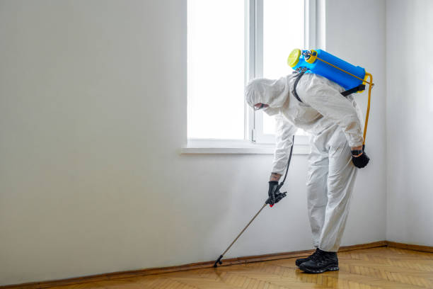 Best Pest Removal Services  in Lakeview, CA