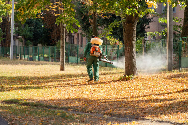 Best Commercial Pest Control Services  in Lakeview, CA
